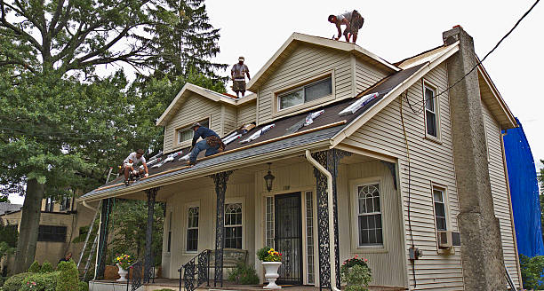 Best Metal Roofing Contractor  in Effingham, IL